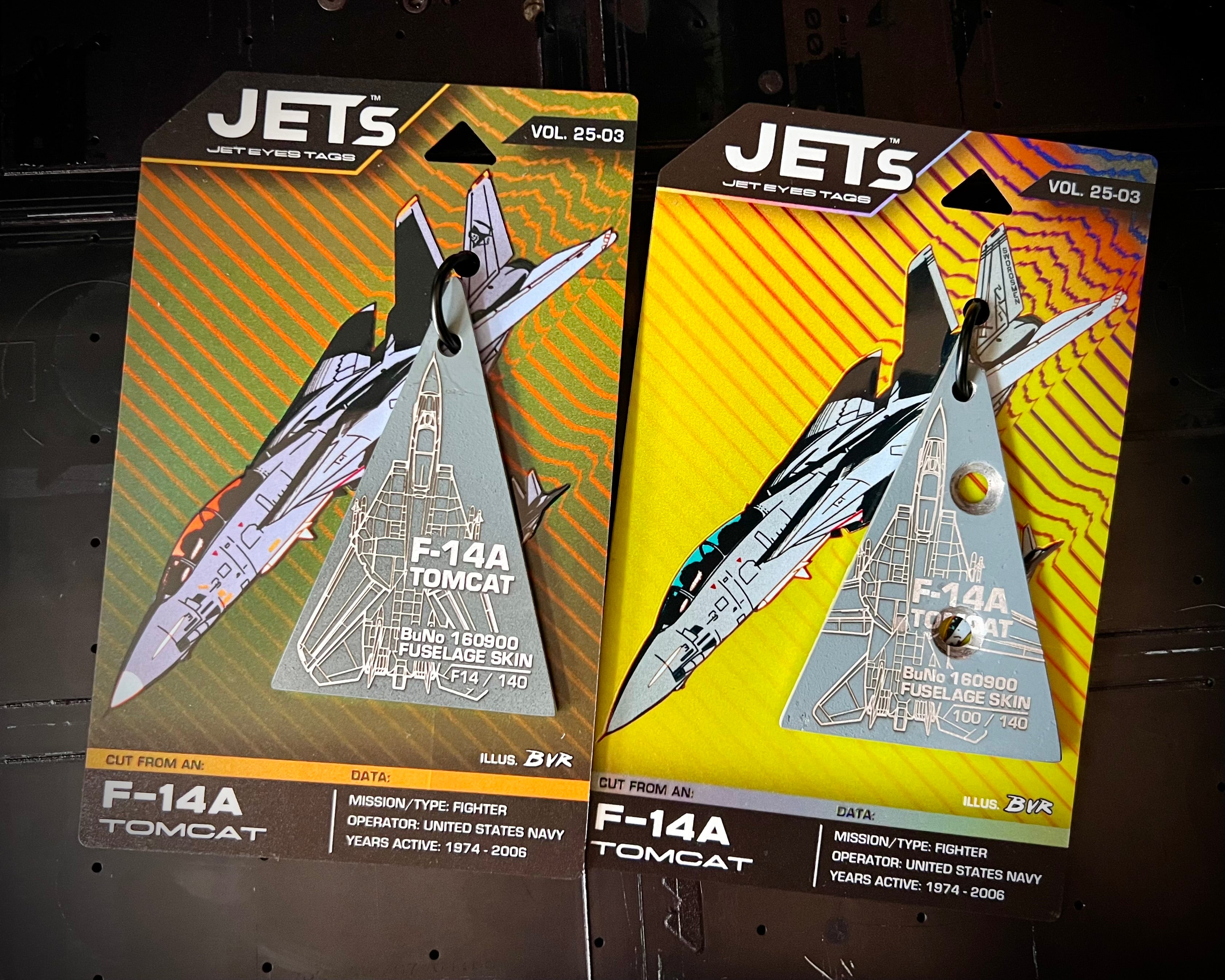 JETs Vol. 25-03: F-14A Tomcat BuNo 160900 Fuselage Skin image 0