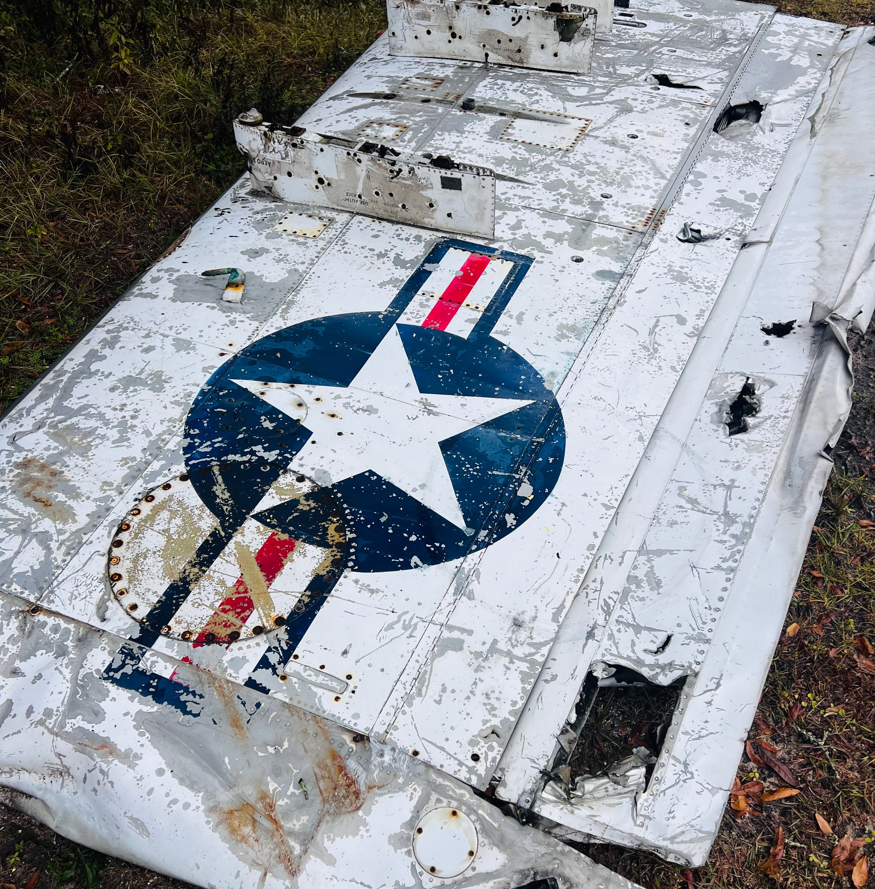 Air Drops SOLO AD-5 Skyraider 133911 Wing Skin image 3