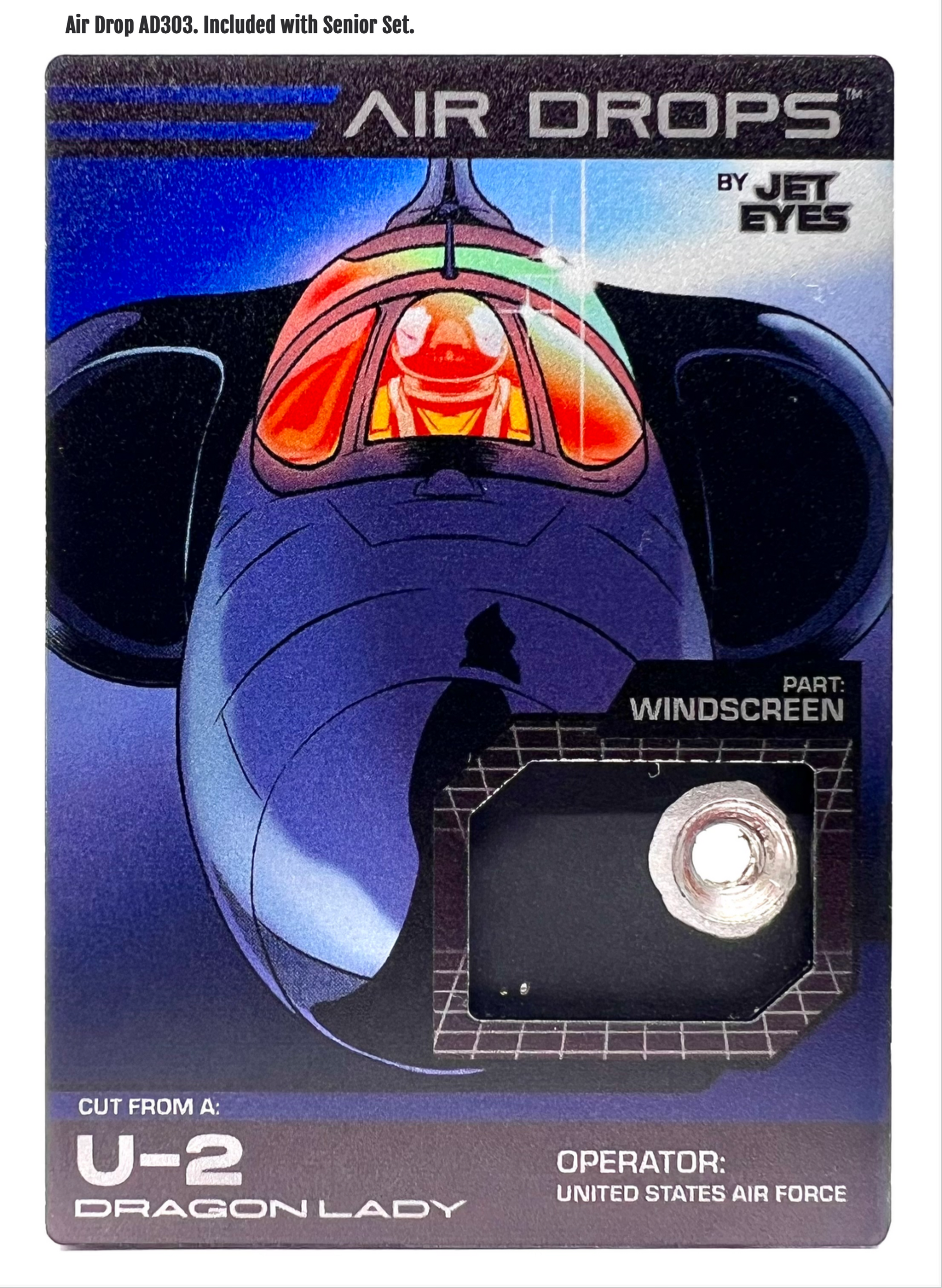 U-2S Dragon Lady 80-1071 Canopy Tag image 7