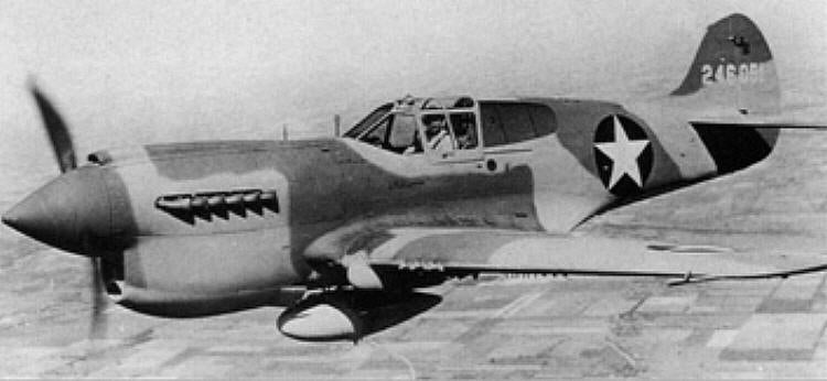P-40 Warhawk Wing Skin Tag image 7